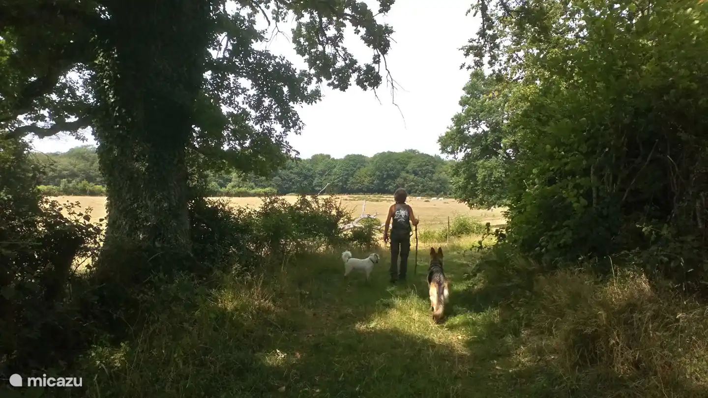 Wanderung auf La Montée, ganz in der Nähe von zu Hause