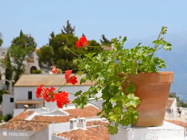 Location de Vacances Espagne, Costa del Sol, Comares, maison de vacances - Casa Bonita. Sentez-vous partie prenante de ce lieu unique et incomparable. Celui qui vient ici perd son cœur... comme tant d’autres l’ont déjà fait.