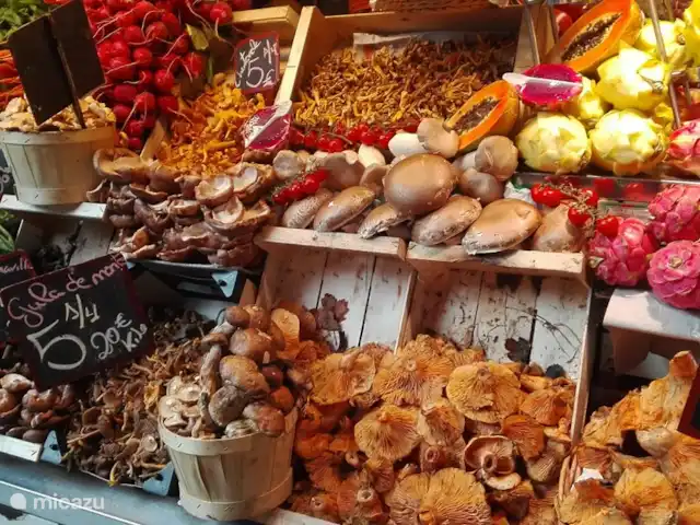 Location de Vacances Espagne, Costa del Sol, Comares, maison de vacances - Casa Bonita. Málaga Mercado de Atarazana. Fête des couleurs et des senteurs. Découvrez les délicieux ingrédients de la cuisine andalouse.