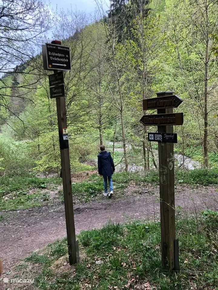 There are beautiful walks in this vast wooded area