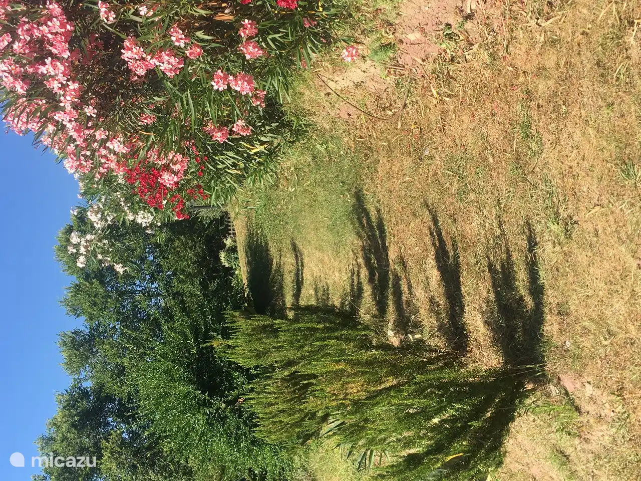 Weg zum Gemeinschaftsgarten