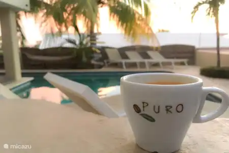 Vakantiehuis Curaçao, Banda Ariba (oost), Cas Grandi studio beleef Curaçao appartementen S2 Zwembad