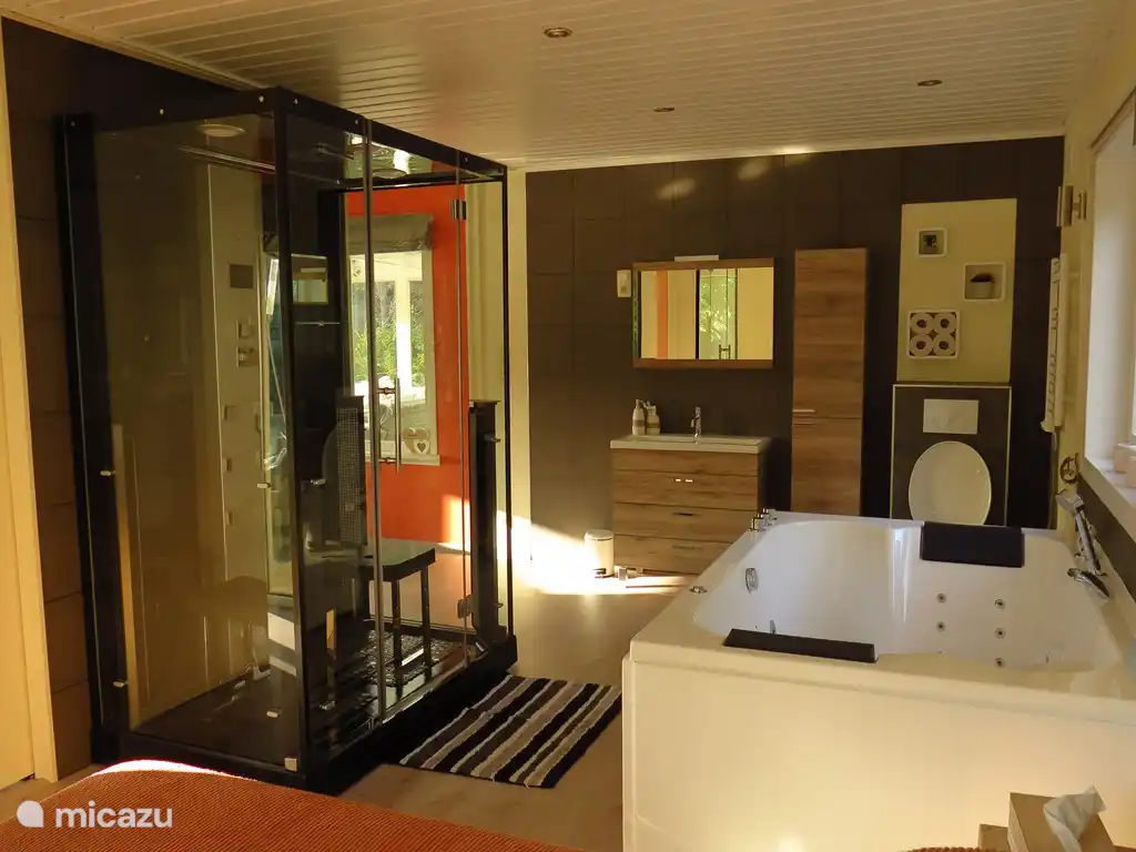 Badezimmerbereich mit Jacuzzi (Jacuzzi) und Dampf-, Infrarot- und Hamamduschkabine