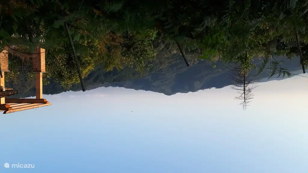 Detail oben und Ansicht.