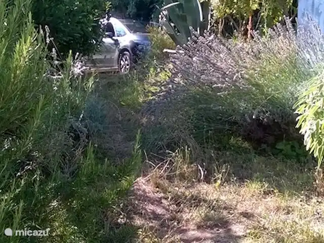 Location de Vacances Italie, Toscane, Borgo a Mozzano, maison de vacances - Ambra Semelle Petite route à l'allée; Parking pour 3 voitures en enfilade, clôturé + portail et sonnette. La porte peut être fermée