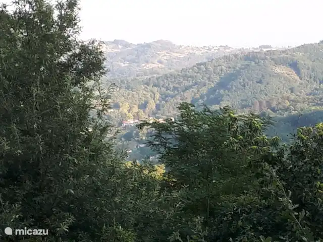 Location de Vacances Italie, Toscane, Borgo a Mozzano, maison de vacances - Ambra Semelle Environnement direct