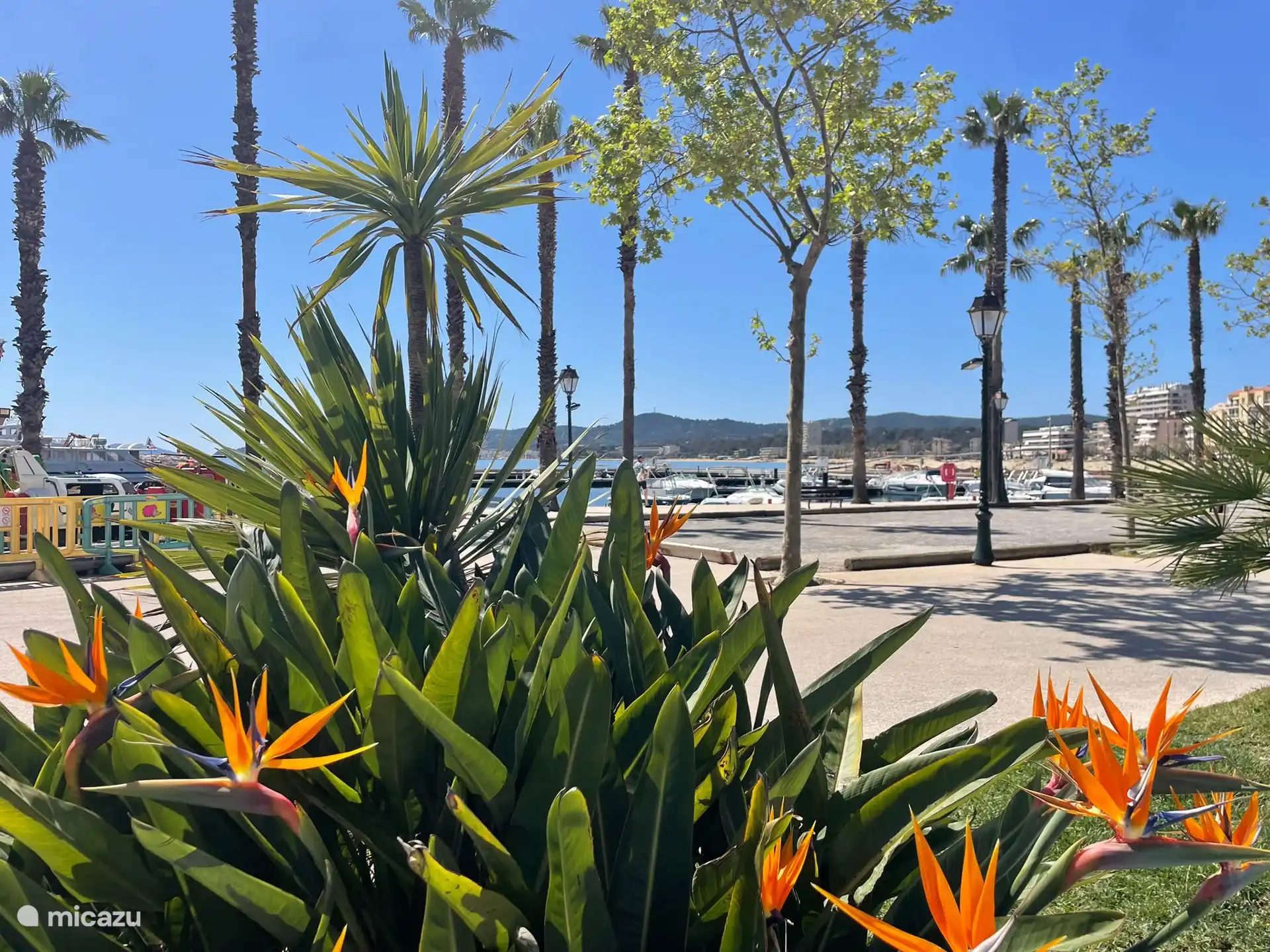 Le Lavandou boulevard