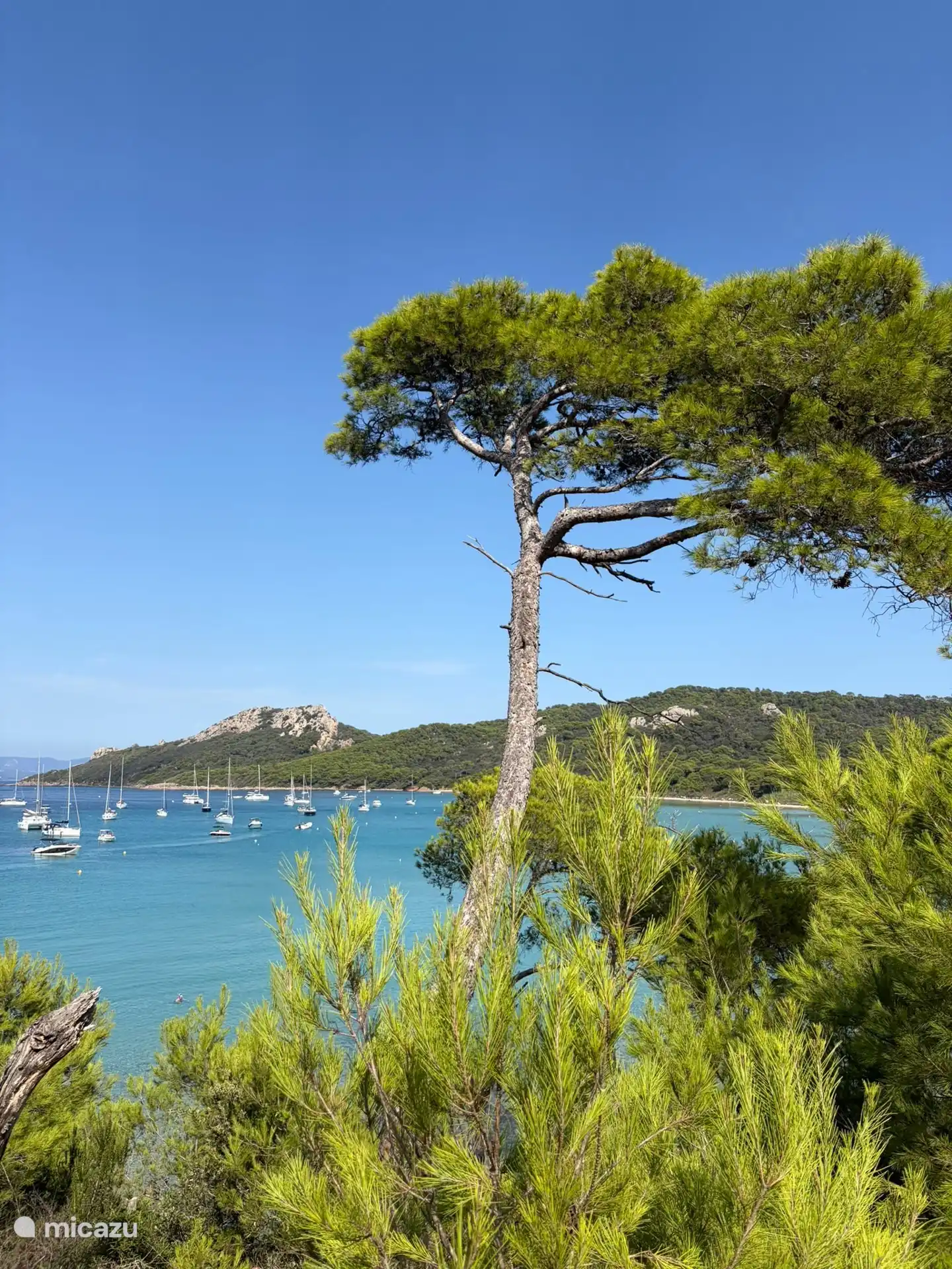 Porquerolles