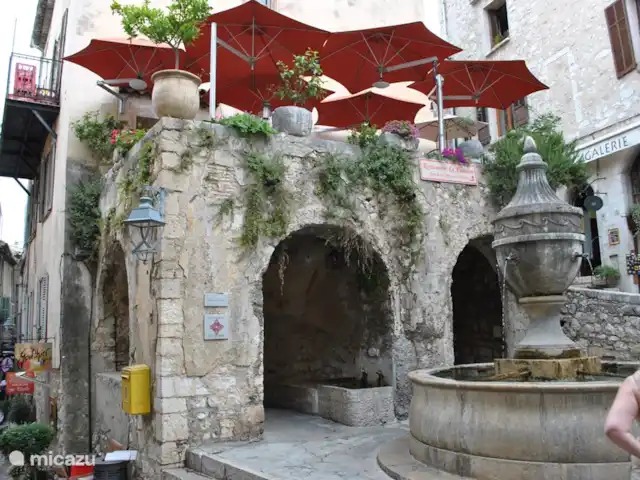 Parc Valrose | France, Côte d'Azur, La Londe-les-Maures - chalet Bon restaurant
