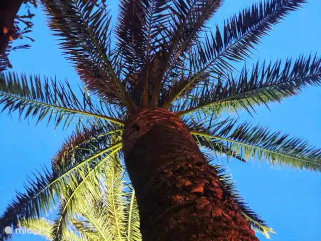 Parc Valrose | France, Côte d'Azur, La Londe-les-Maures - chalet bleu azur