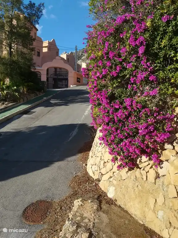 Eingang zum Semiramis-II-Komplex, das erste grüne Tor auf der linken Seite.