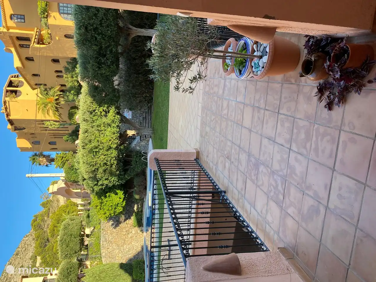 Genießen Sie den Schatten unter den Olivenbäumen.