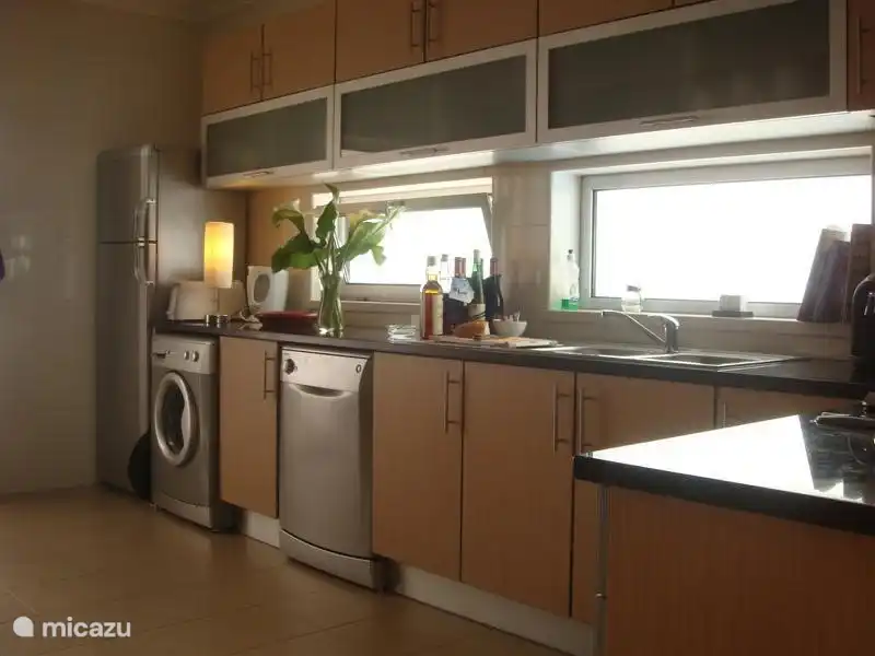 cuisine, avec machine à laver et lave-vaisselle et réfrigérateur et congélateur