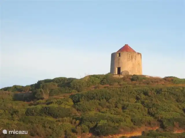 Casa sans soucis | Portugal, Costa de Prata, São Martinho do Porto - maison de vacances vue du moulin portugais