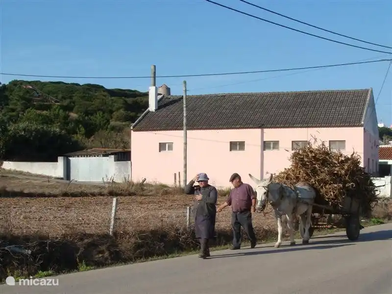 la boulangerie où l'on peut acheter du pain frais jusqu'à 9h du matin