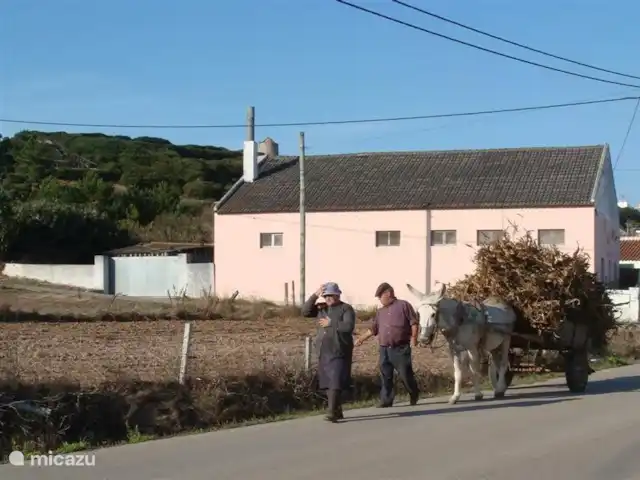 Casa sans soucis | Portugal, Costa de Prata, São Martinho do Porto - maison de vacances la boulangerie où l'on peut acheter du pain frais jusqu'à 9h du matin