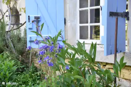 Vakantiehuis Frankrijk, Nièvre, Ciez vakantiehuis Maison du Pon