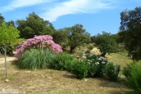 Vakantiehuis Frankrijk, Côte d´Azur, Le Plan-de-la-Tour villa Les Barrus