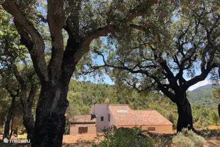 Vakantiehuis Frankrijk, Côte d´Azur, Le Plan-de-la-Tour villa Les Barrus