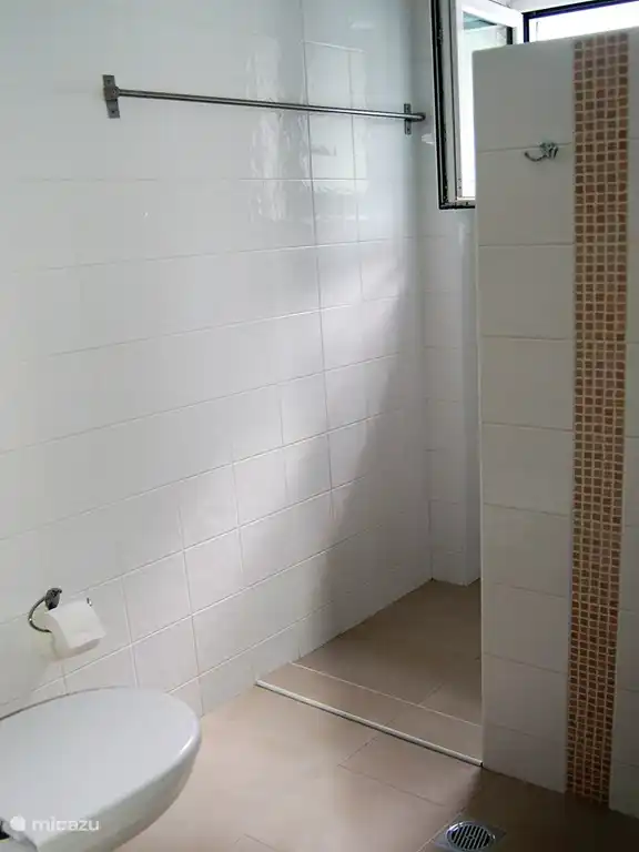 Beautiful bright bathroom with toilet, walk-in shower, sink and central heating.