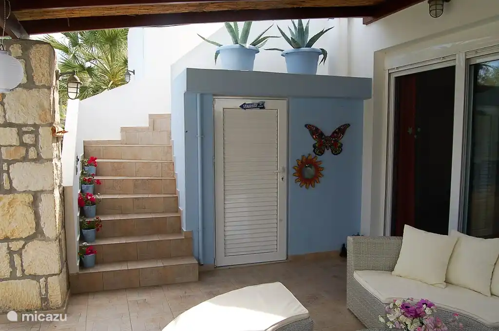 From the patio you enter the roof terrace. This gives a view to the sea and the olive grove.