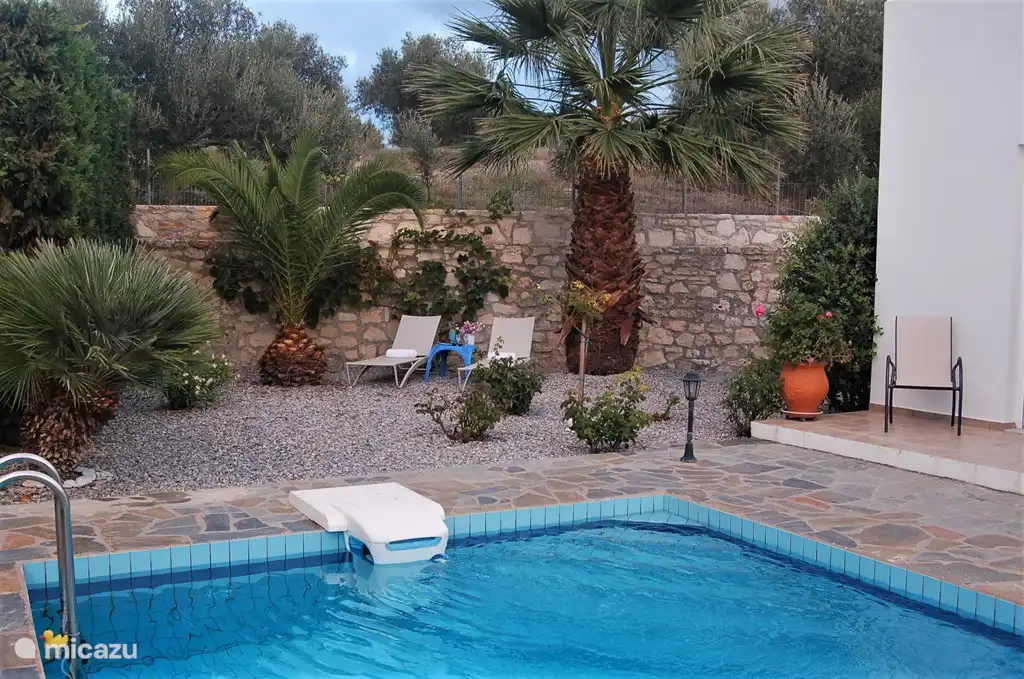 Swimming pool with view to the garden.