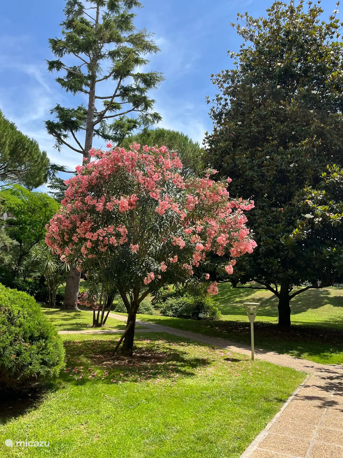 We have a view of the beautiful garden.