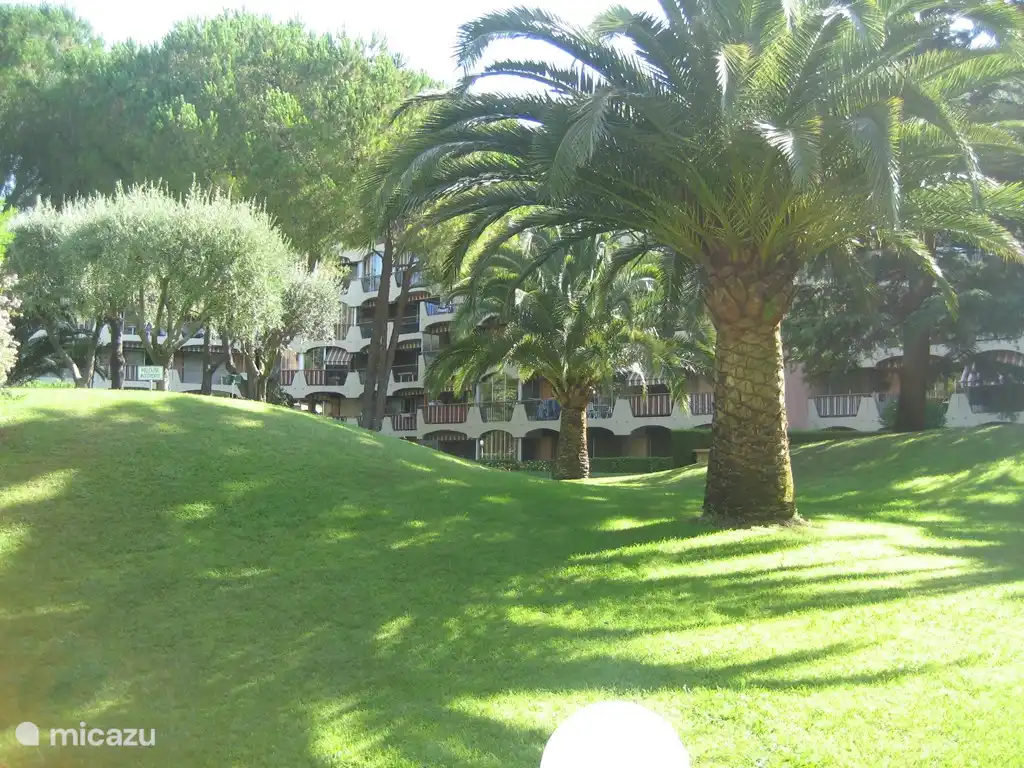 Der Park ist perfekt gepflegt