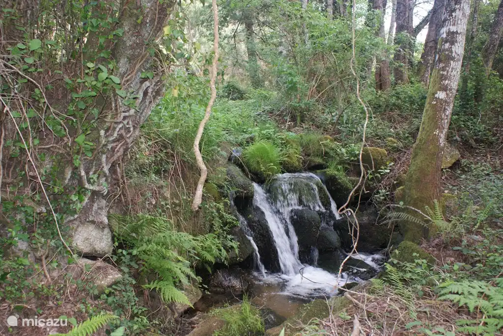 Klein riviertje op de Quinta.