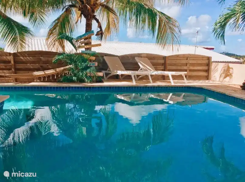 Verschiedene Sonnenliegen rund um den Pool.