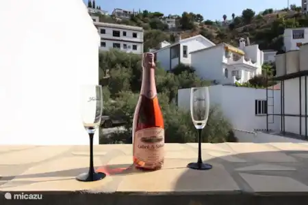 Vakantiehuis Spanje, Andalusië, Cómpeta stadswoning Casa Carmen dakterras
