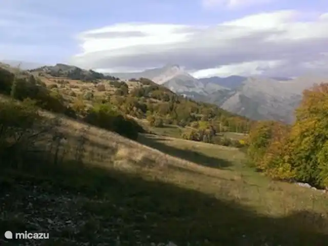 Arbre des Roses | France, Hautes-Alpes, Manteyer - chalet encore la cour