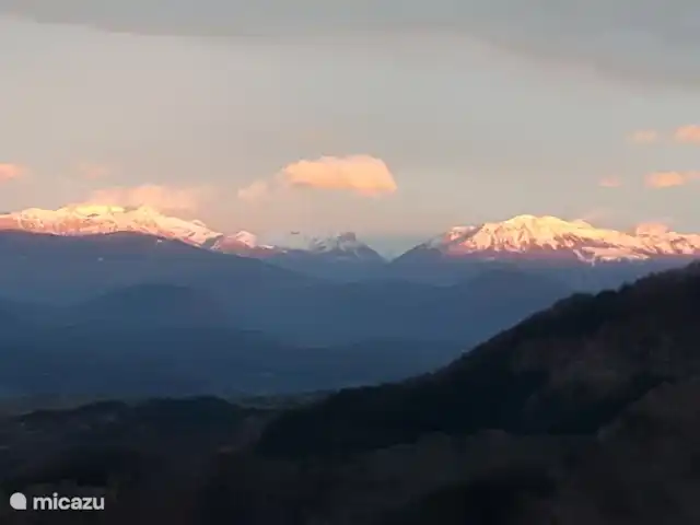 Arbre des Roses | France, Hautes-Alpes, Manteyer - chalet les montagnes autour