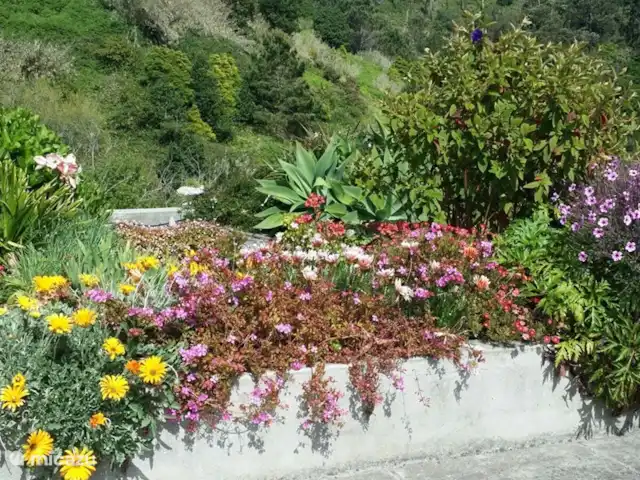 Raposeira de São João | Portugal, Madère, Calheta - villa jardin Raposeira de São João