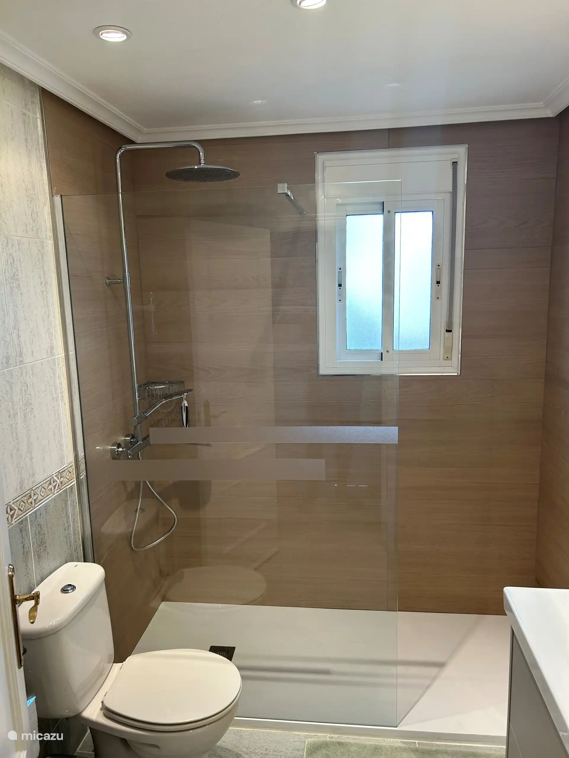 Downstairs bathroom with walk-in shower