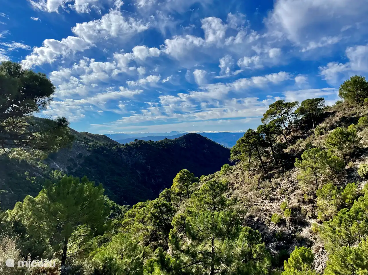 Es ist wunderschön, in der Gegend spazieren zu gehen!