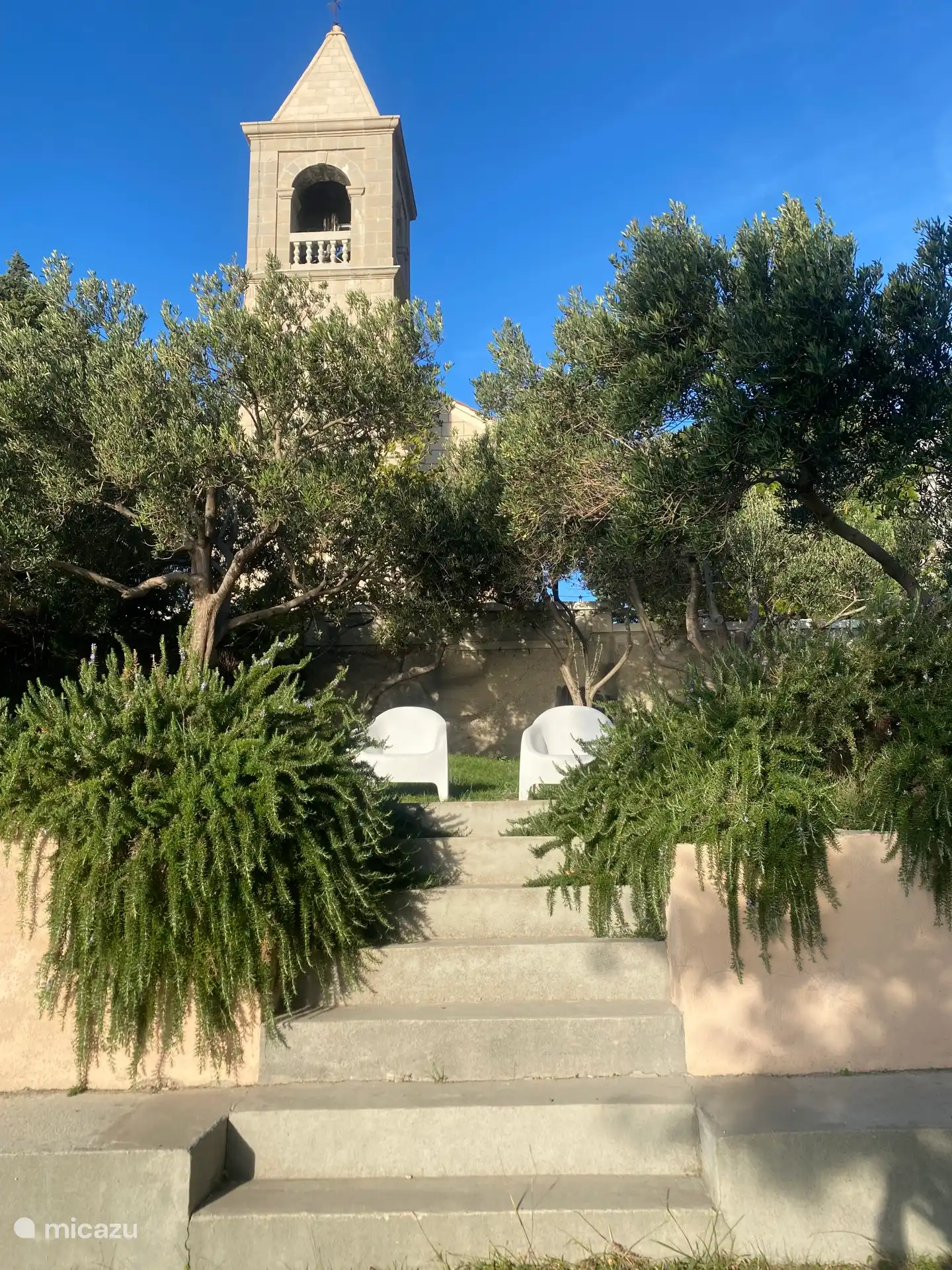 Un sitio precioso bajo los olivos y la torre.