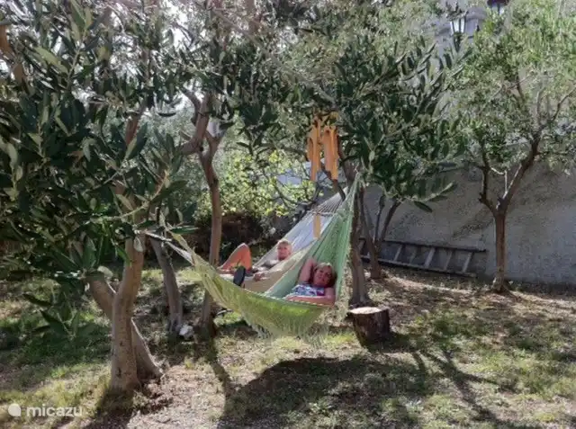 hamacas en el jardin