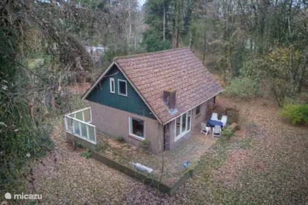 Vakantiehuis Nederland, Drenthe, Meppen bungalow Huisdiervriendelijk Vakantiehuis Vakantiehuis Nederland, Drenthe, Meppen bungalow Huisdiervriendelijk Vakantiehuis