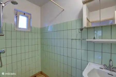 Vakantiehuis Nederland, Drenthe, Meppen bungalow Huisdiervriendelijk Vakantiehuis Doucheruimte met apart toilet