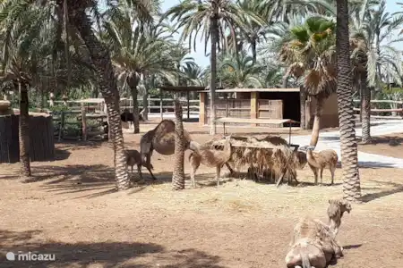 A proximité de la maison :