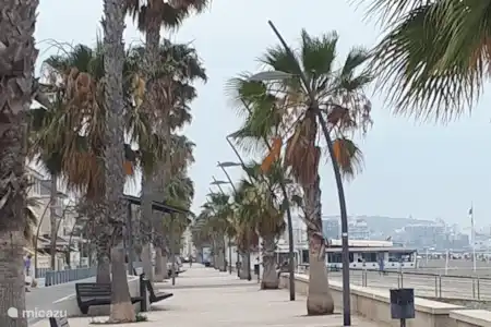A proximité de la maison :