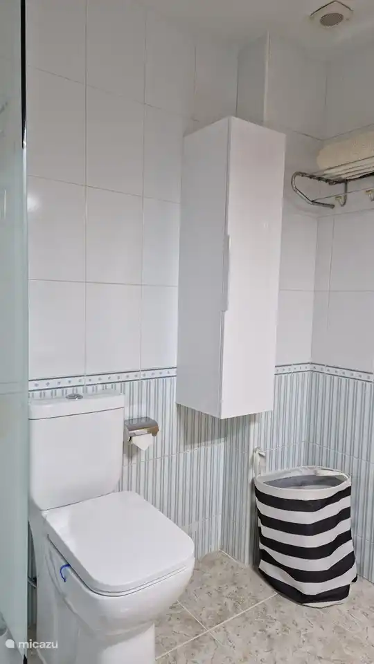 Raised (senior) toilet.