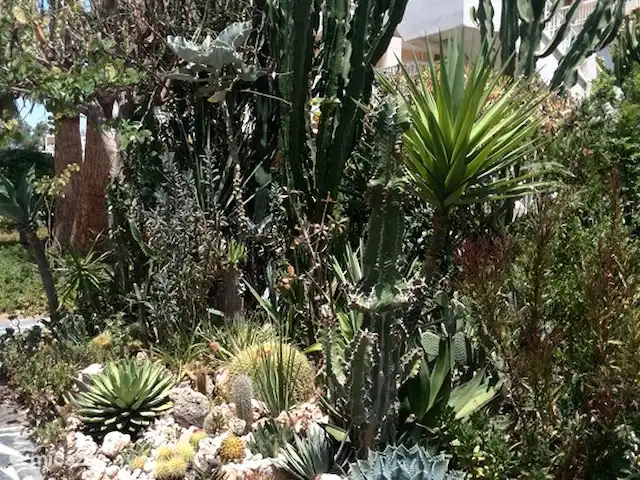 geschakelde woning huren in Spanje, Costa Blanca, Santa Pola – Casa Santa Pola gemeenschapstuin