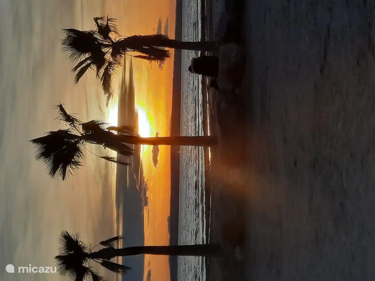 The beach is also attractive at night.