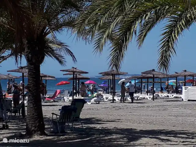 geschakelde woning huren in Spanje, Costa Blanca, Santa Pola – Casa Santa Pola Bedjes met parasol te huur.