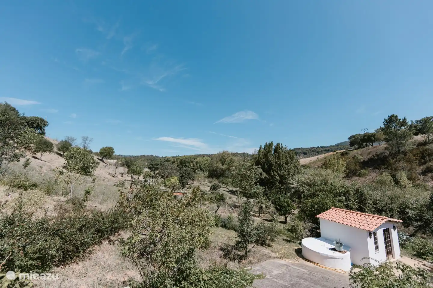 Der Garten mit mehreren Obstbäumen. 