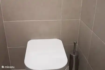 Vakantiehuis Spanje, Costa Blanca, Los Arenales Del Sol appartement Rosa toillet