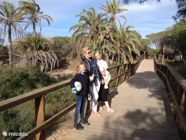 Casa el Raso Guardamar del Segura huren in Spanje, Costa Blanca, Guardamar del Segura - appartement la pineta pijnboombos natuurgebied langsheen het strand van La Marina