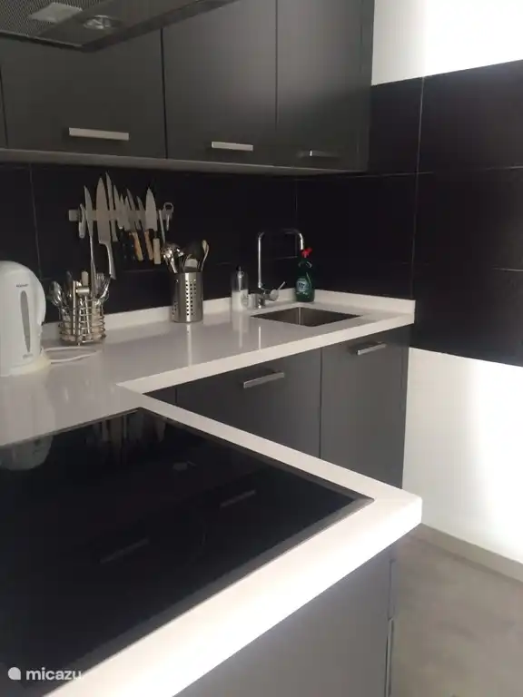 moderne keuken met vaatwasser en oven.